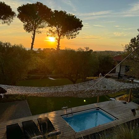 Sea View Villa In Olive Garden Nea Kallikrateia Exterior foto