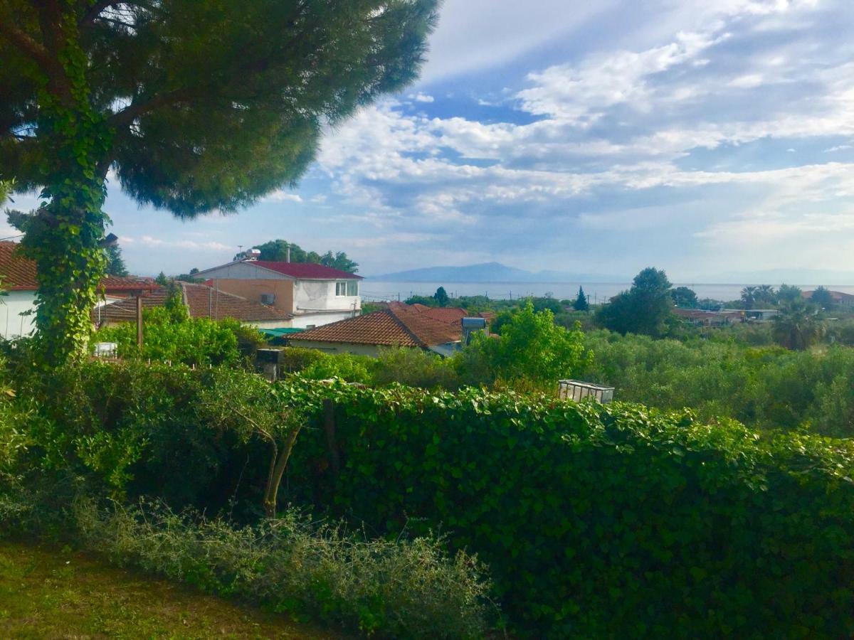 Sea View Villa In Olive Garden Nea Kallikrateia Exterior foto