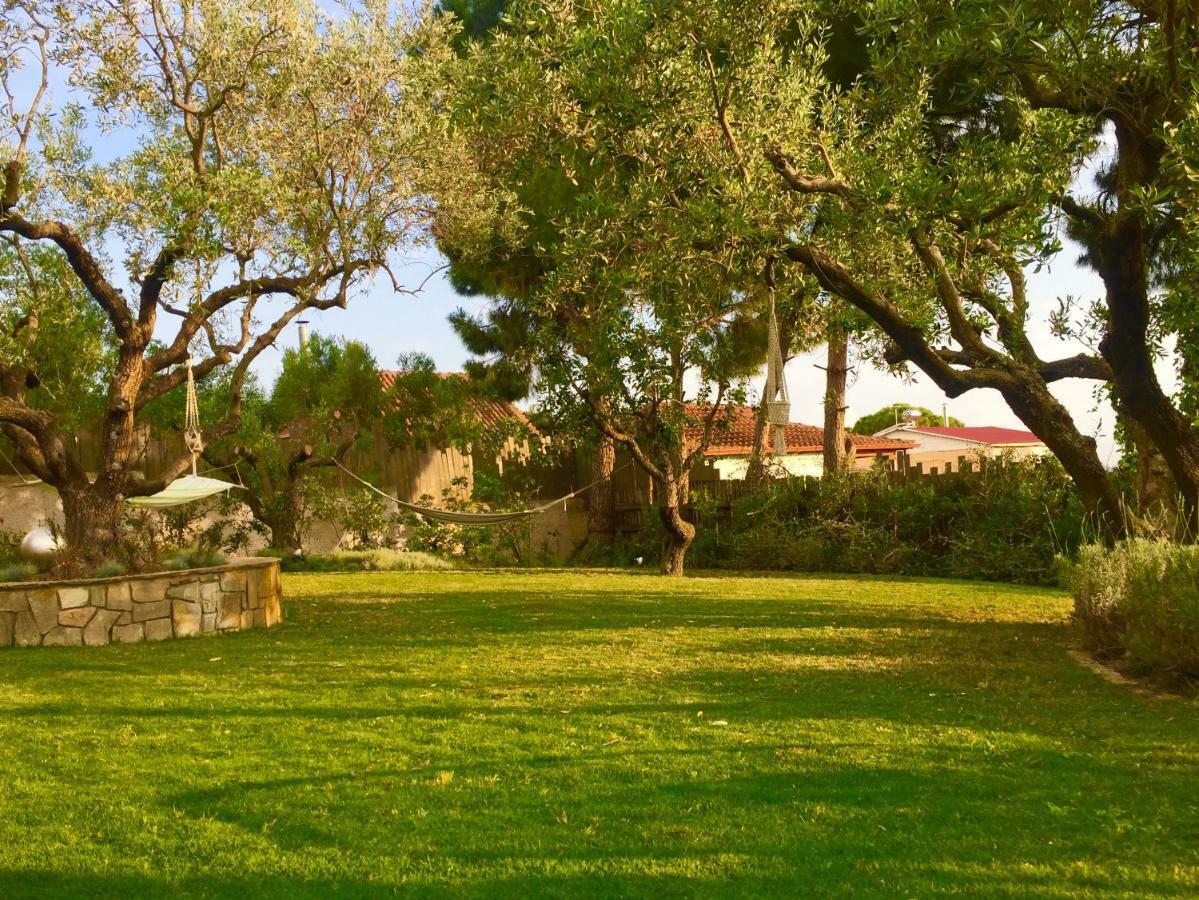 Sea View Villa In Olive Garden Nea Kallikrateia Exterior foto